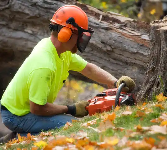 tree services Fort Benton